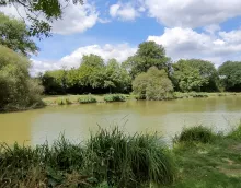 La Gaule Nieuloise