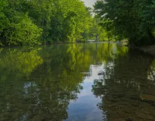 Vigilance Crue Jaune - Restez attentifs